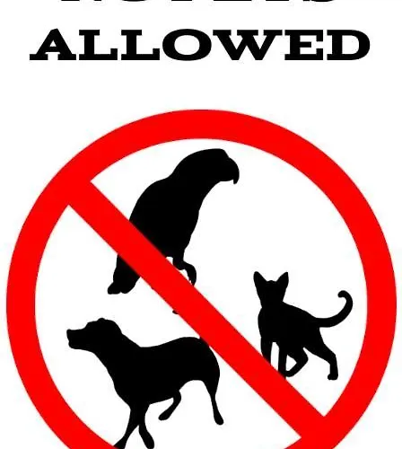 Apartament - Kapitański żeromskiego